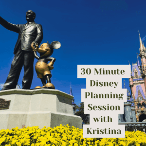 Let’s Talk Disney! 1:1 Planning Session